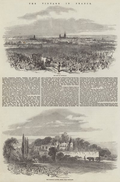 De Wijnoogst in Frankrijk door Samuel Read
